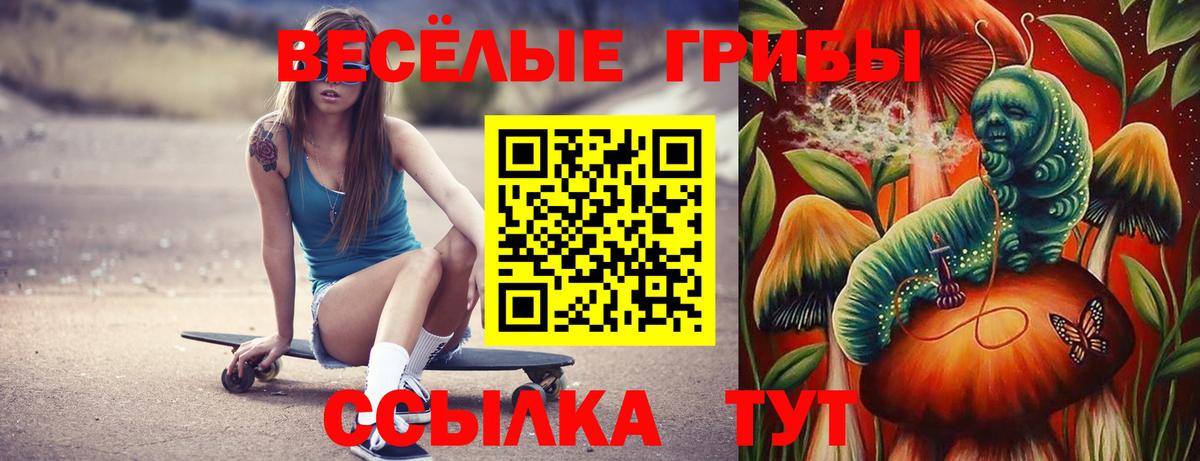 Красноуфимск  Псилоцибиновые грибы MAGIC MUSHROOMS  где можно купить   Вход с VPN 